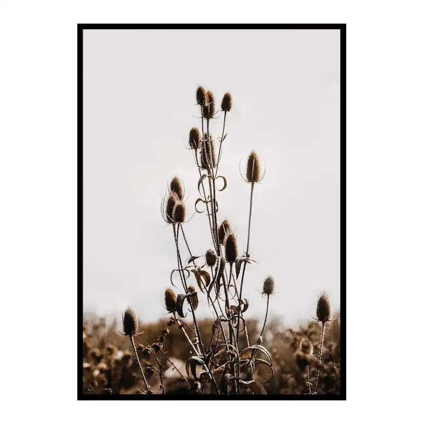 Poster Gallerix Reeds