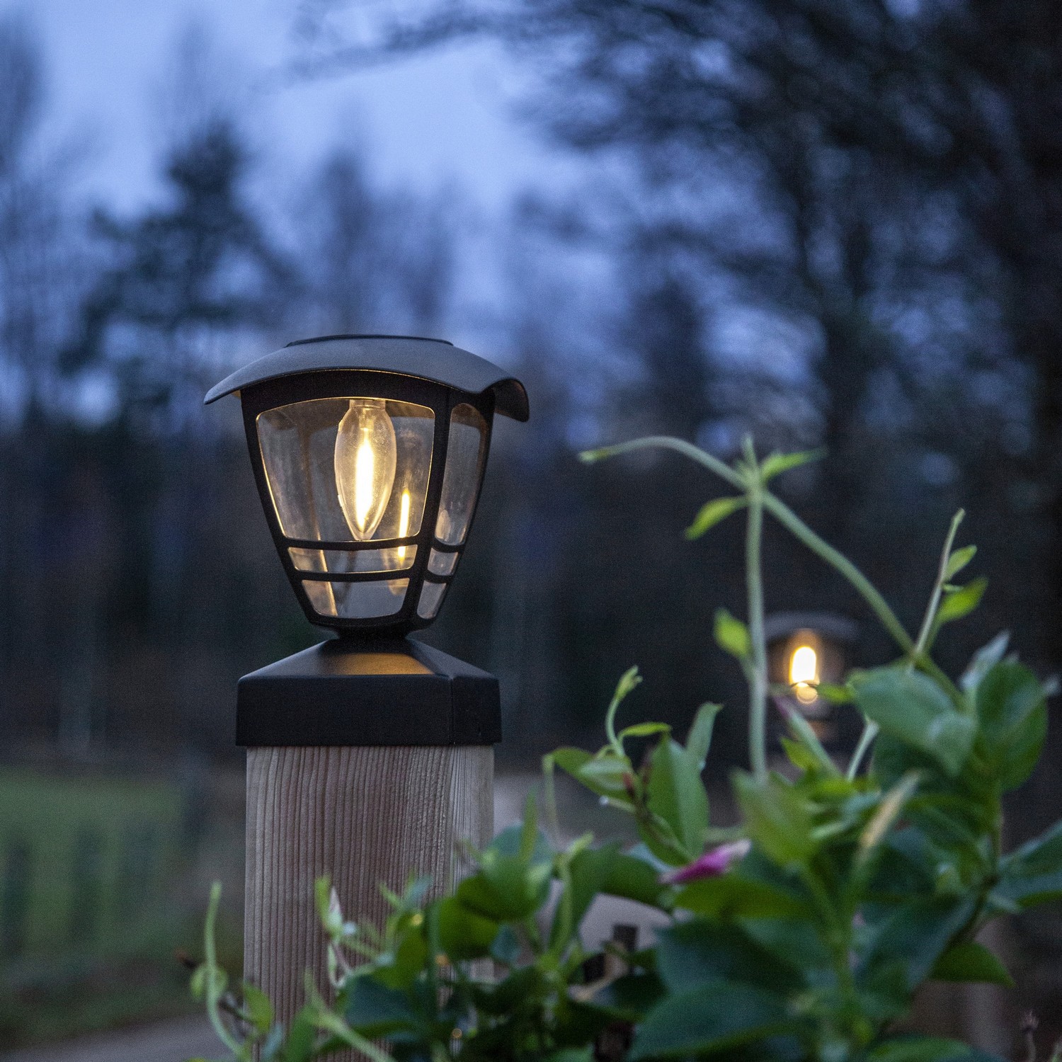 Solcellsdekoration Star Trading Felix Svart LED Solcellslampa med Sensor