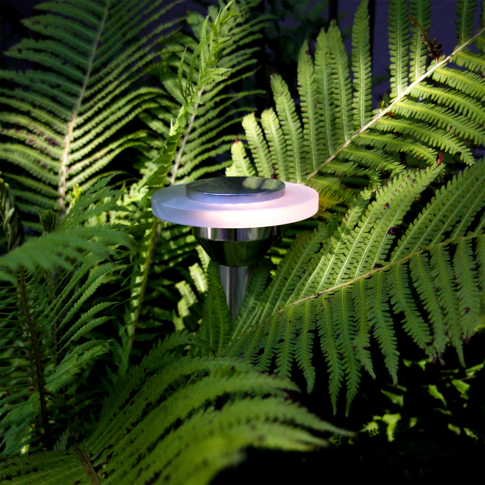 Pollare Lightson Ellips
