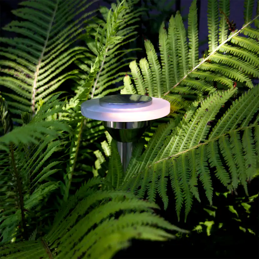 Pollare Lightson Ellips