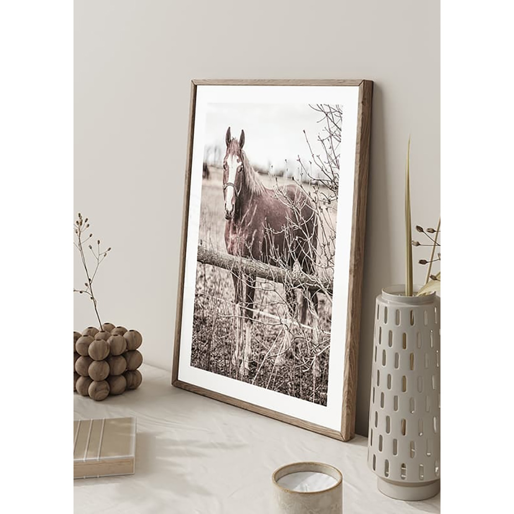 Poster Gallerix One Brown Horse