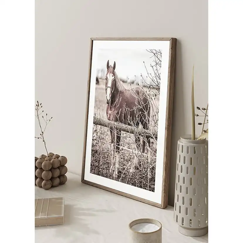 Poster Gallerix One Brown Horse