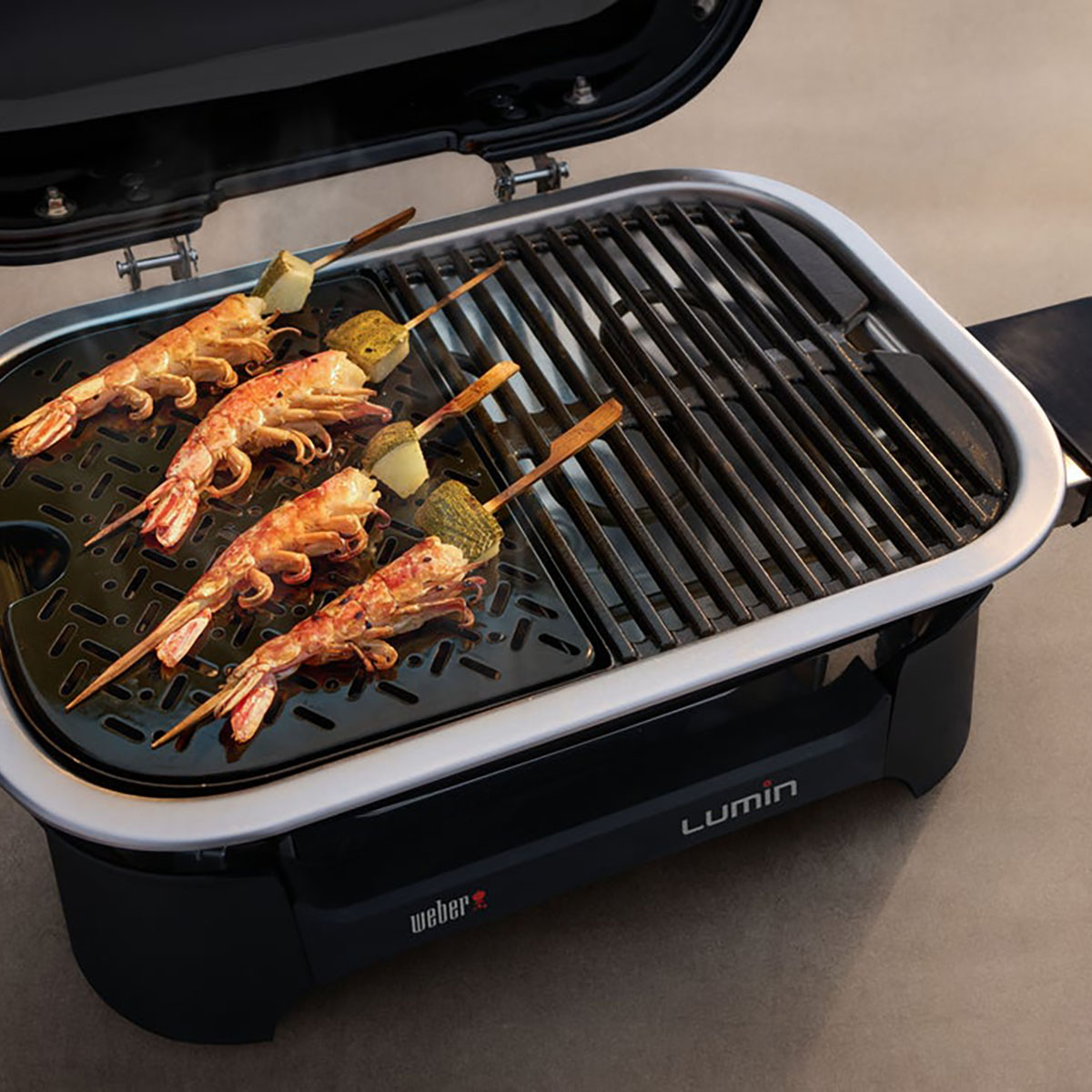 Elgrill Weber Lumin Compact