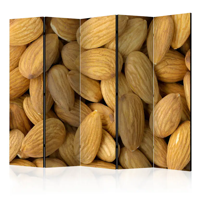 Rumsavdelare Skärmvägg Arkiio Tasty Almonds II 225x172 cm