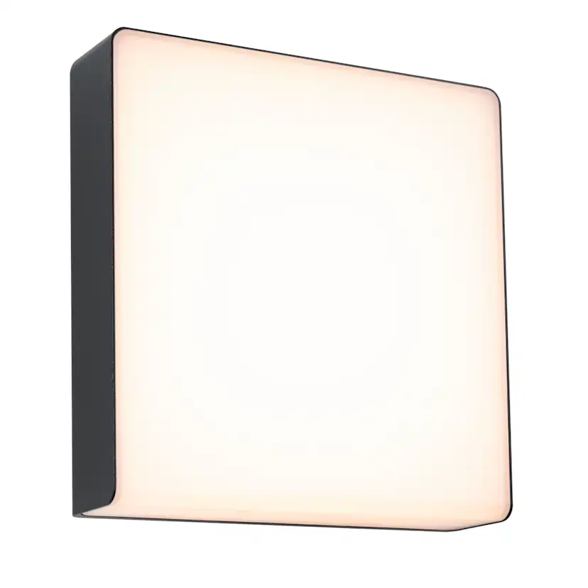 Fasadbelysning LED Paulmann Azalena med Skymningsstyrd rörelsedetektor Smart Home Zigbee 3.0 IP44 230V Färg: Antracit