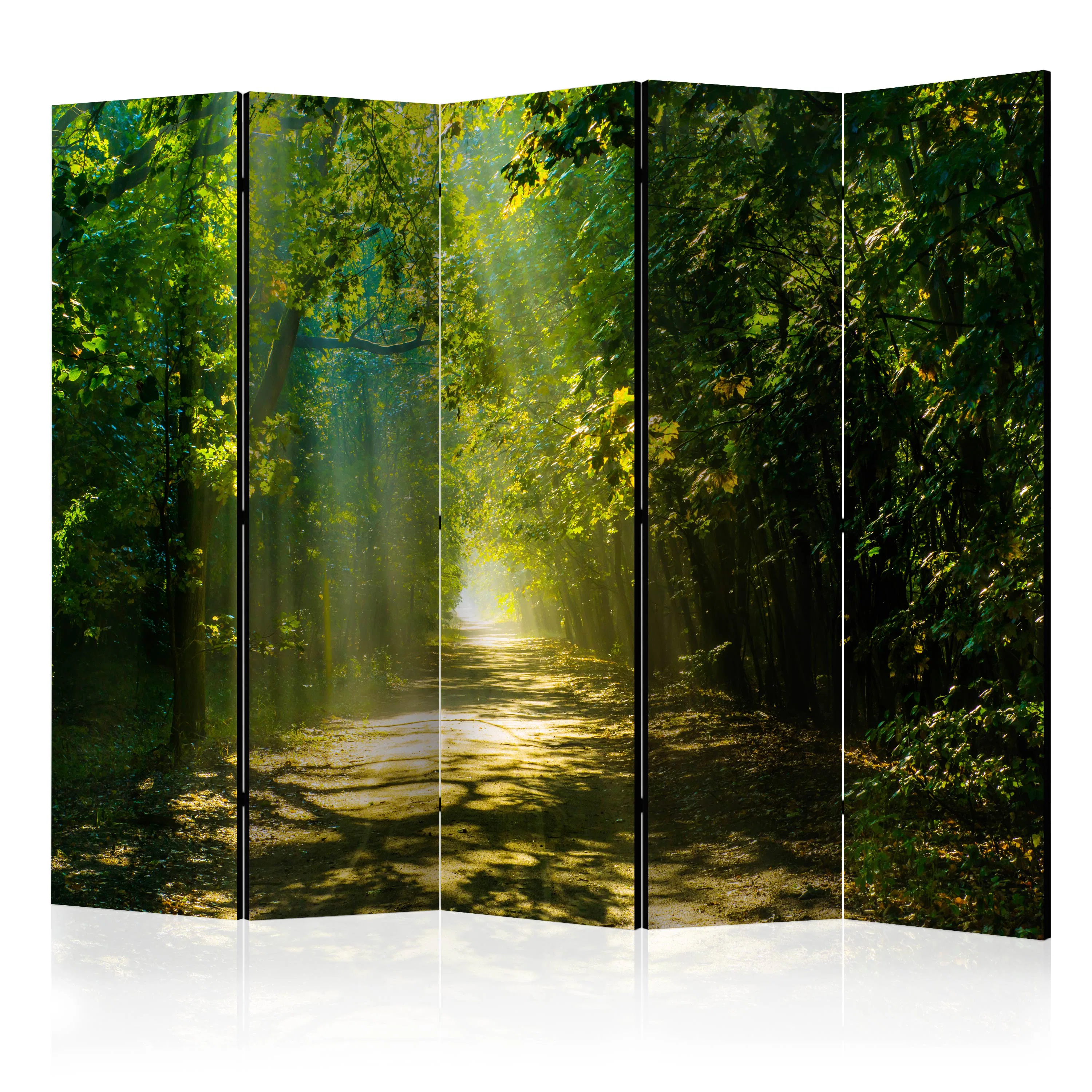 Rumsavdelare Skärmvägg Arkiio Road in Sunlight II 225x172 cm