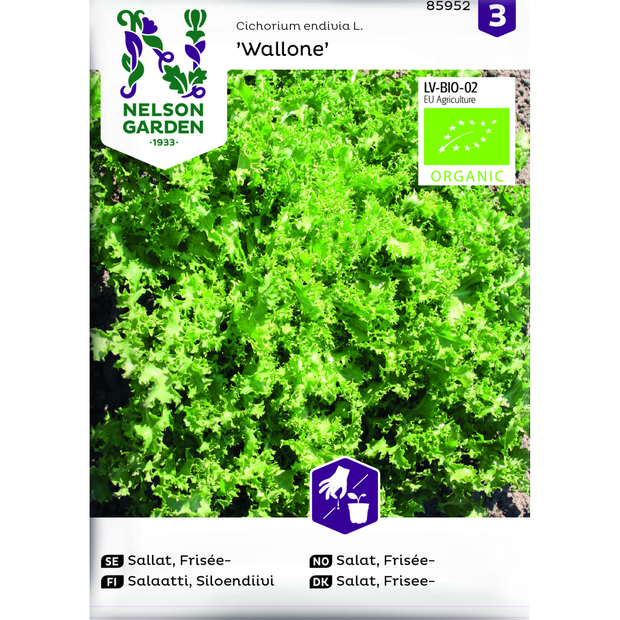 Frö Nelson Garden Sallat Frisée Wallone Organic