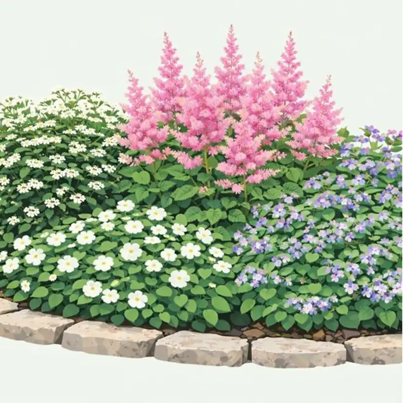 Perenn Omnia Garden Perennpaket Långvarig Trädgård