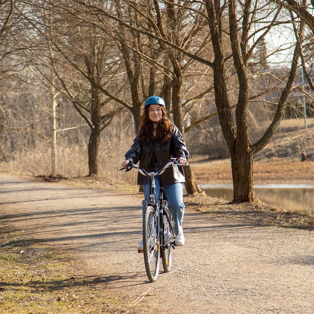 Elcykel Swoop Classic, dam 28" Svart