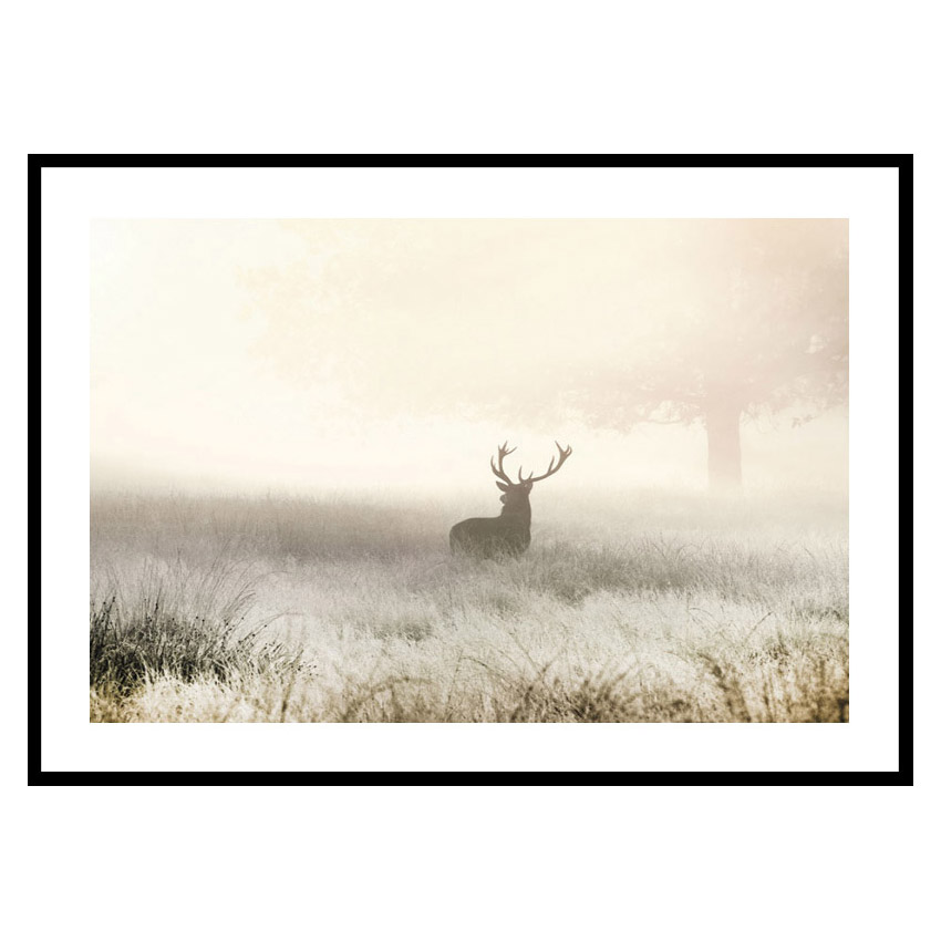 Poster Gallerix Deer In Mist