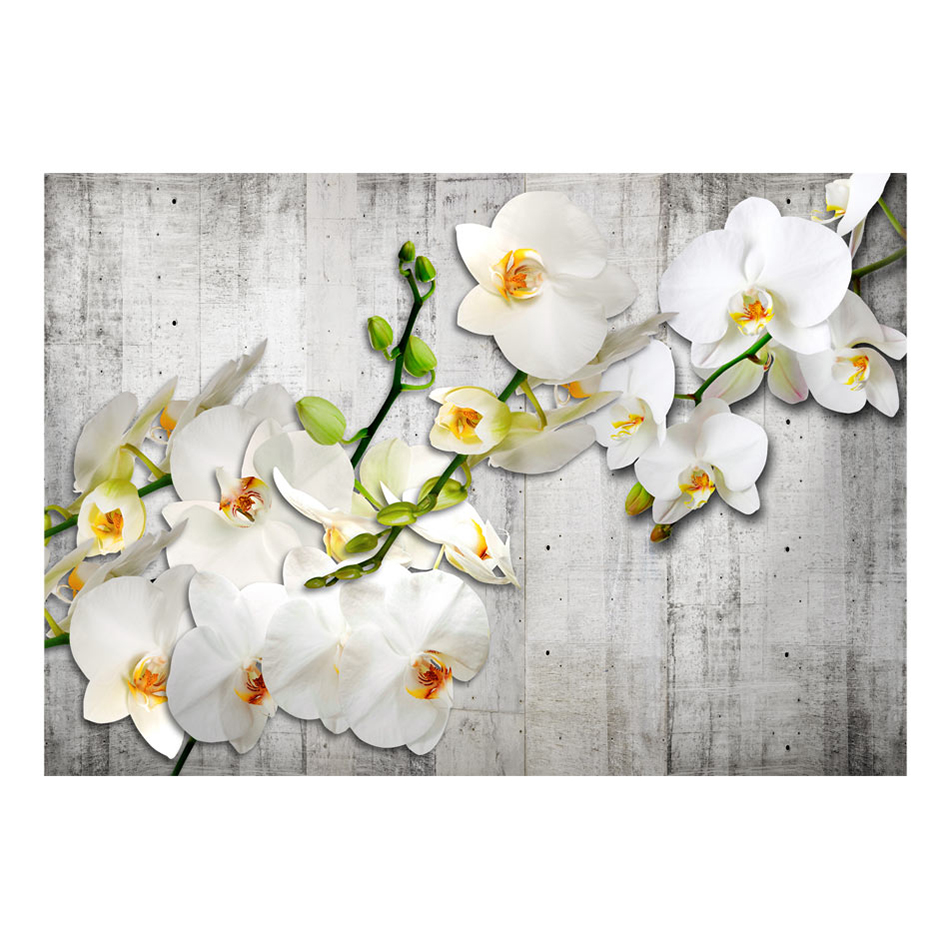 Fototapet Arkiio With Saffron Accent