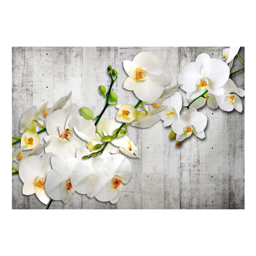 Fototapet Arkiio With Saffron Accent