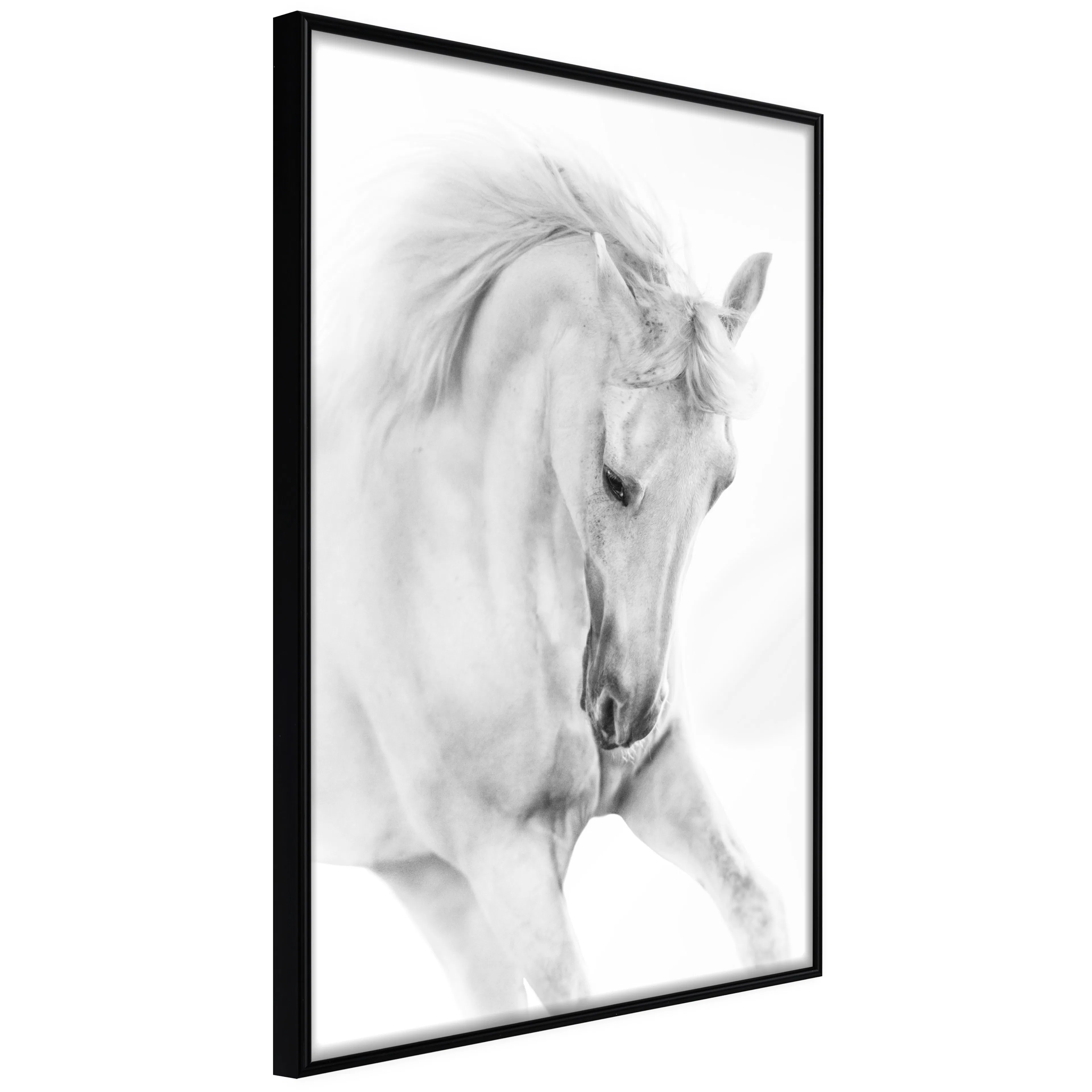 Affisch - White Horse [Poster] 20x30 Svart ram, 20x30 cm