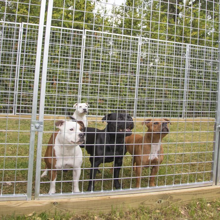 Hundgård Kellfri Medium