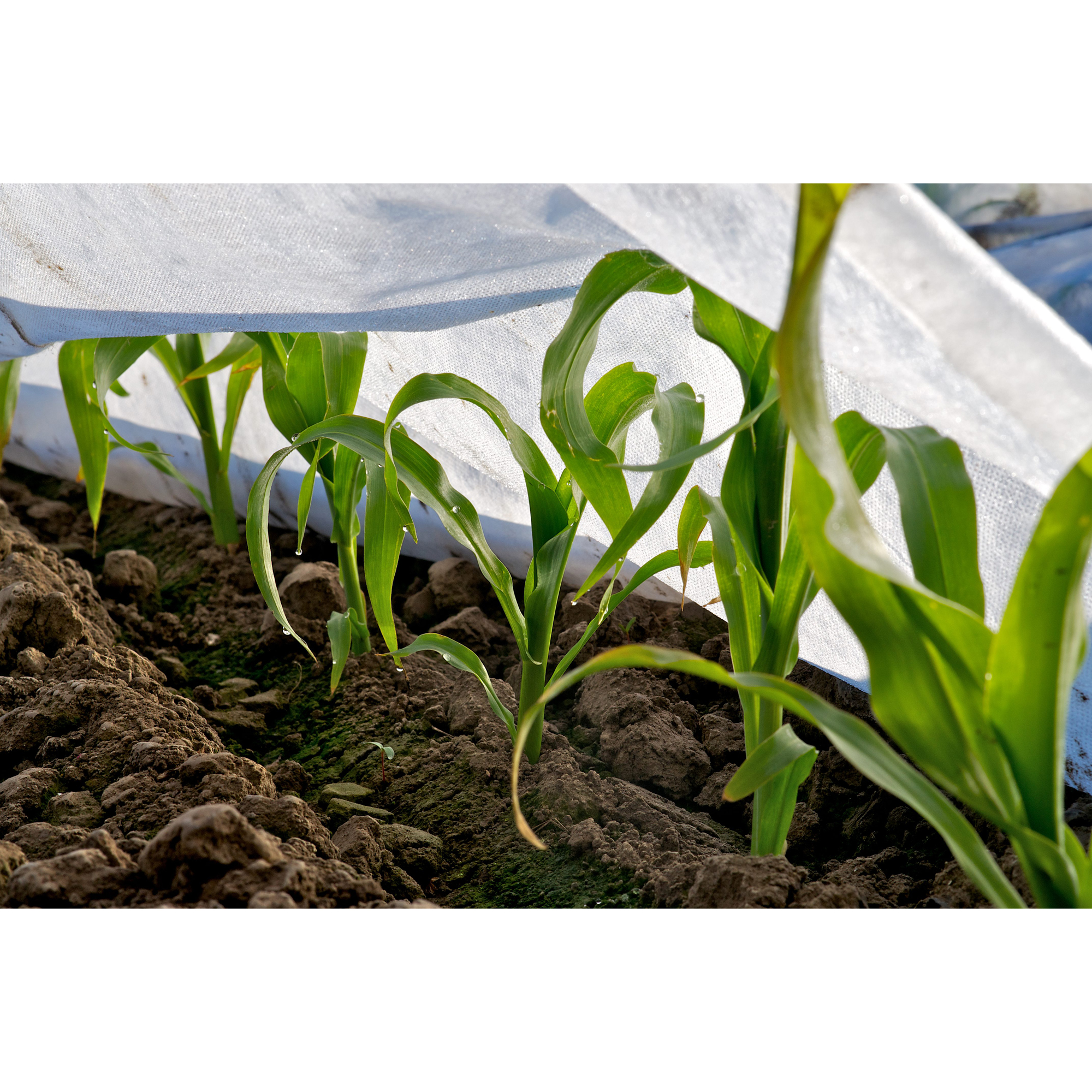 Fiberduk Jabo Agrimpex Vit