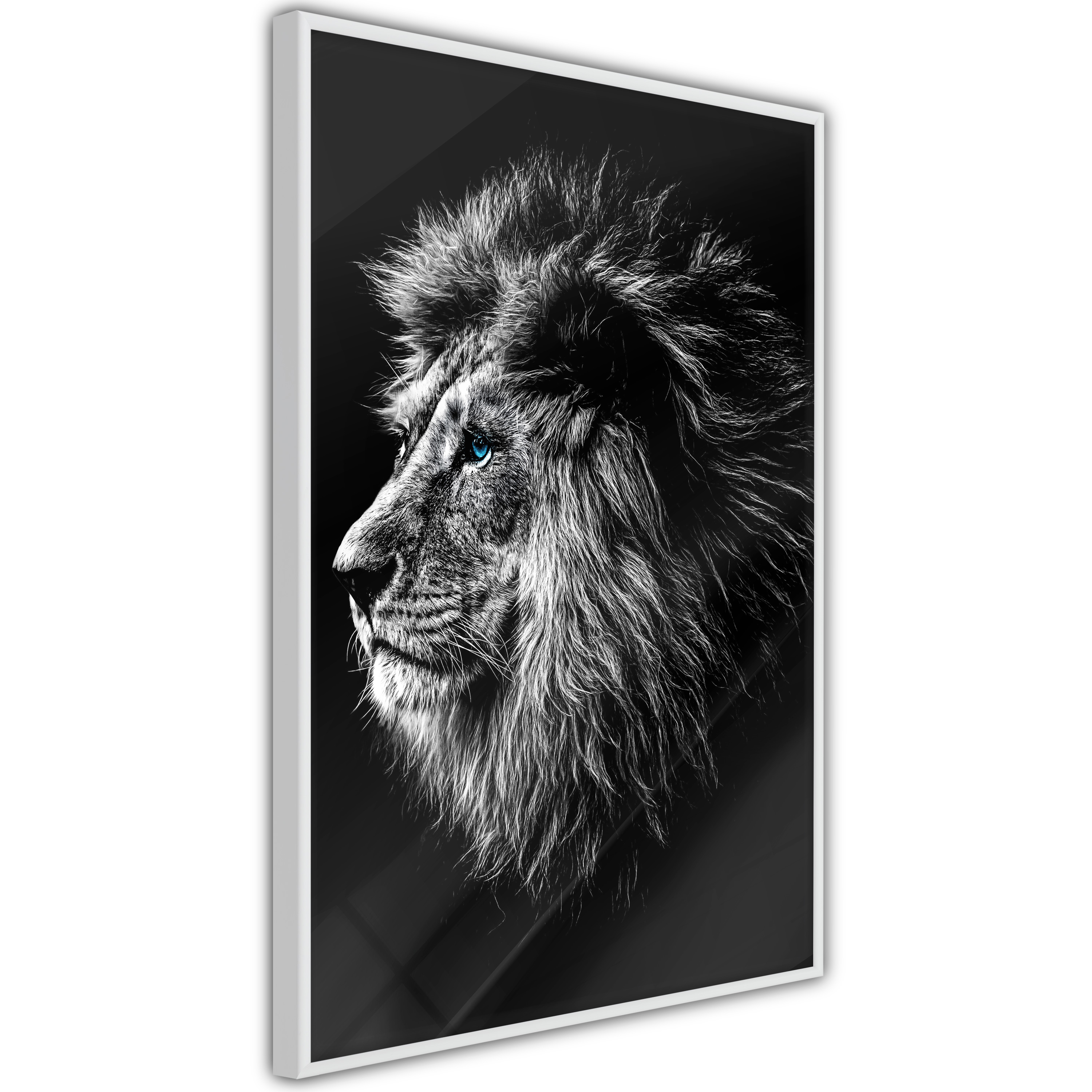 Poster Artgeist Affisch Blue-eyed Lion