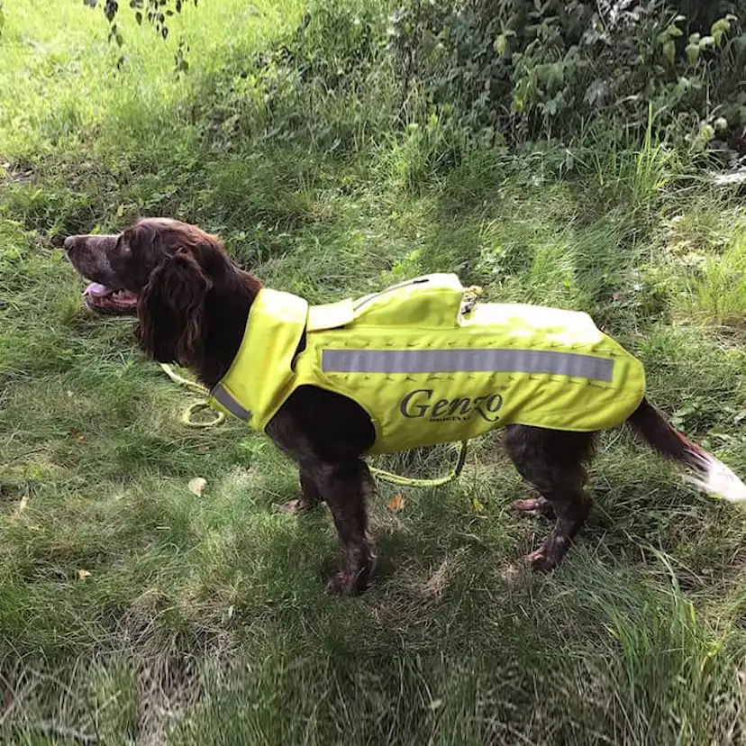 Skyddsväst Genzo Wild Boar för Hund