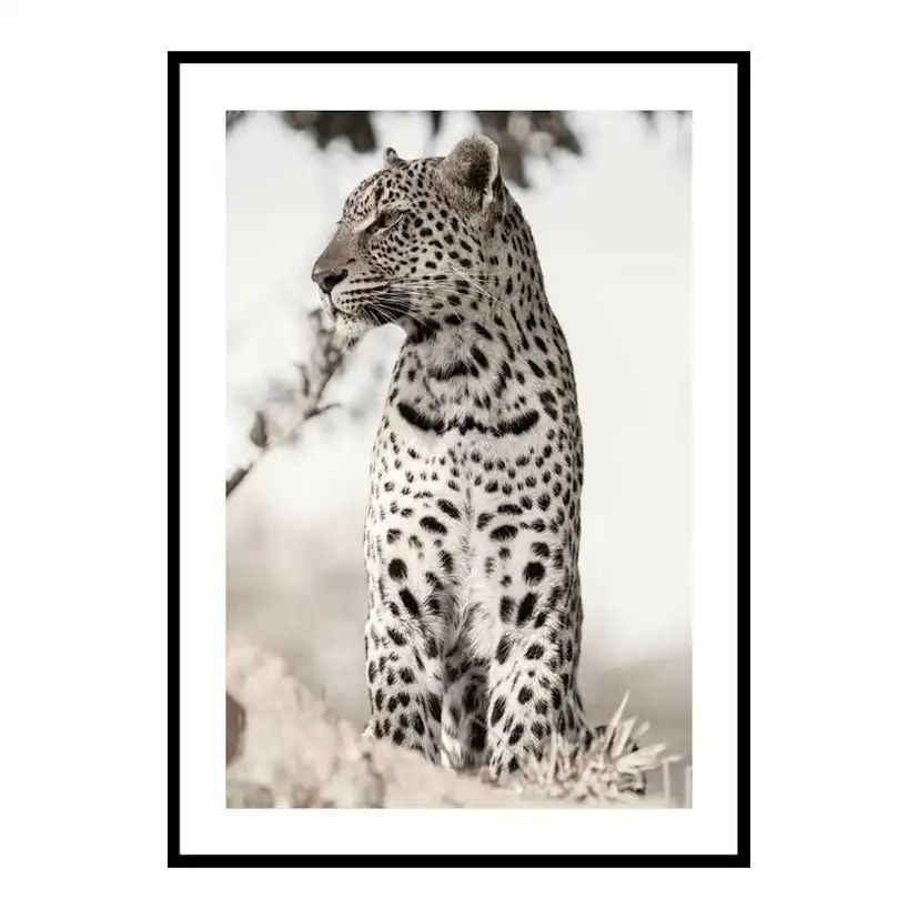 African Leopard 30x40 cm