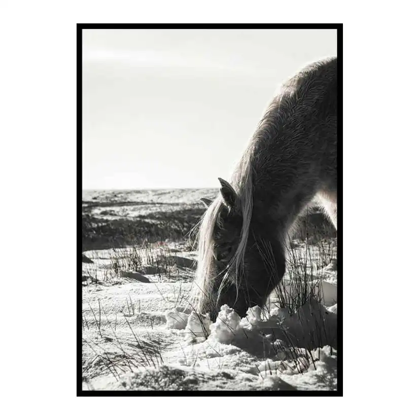 Poster Gallerix Winter Horse