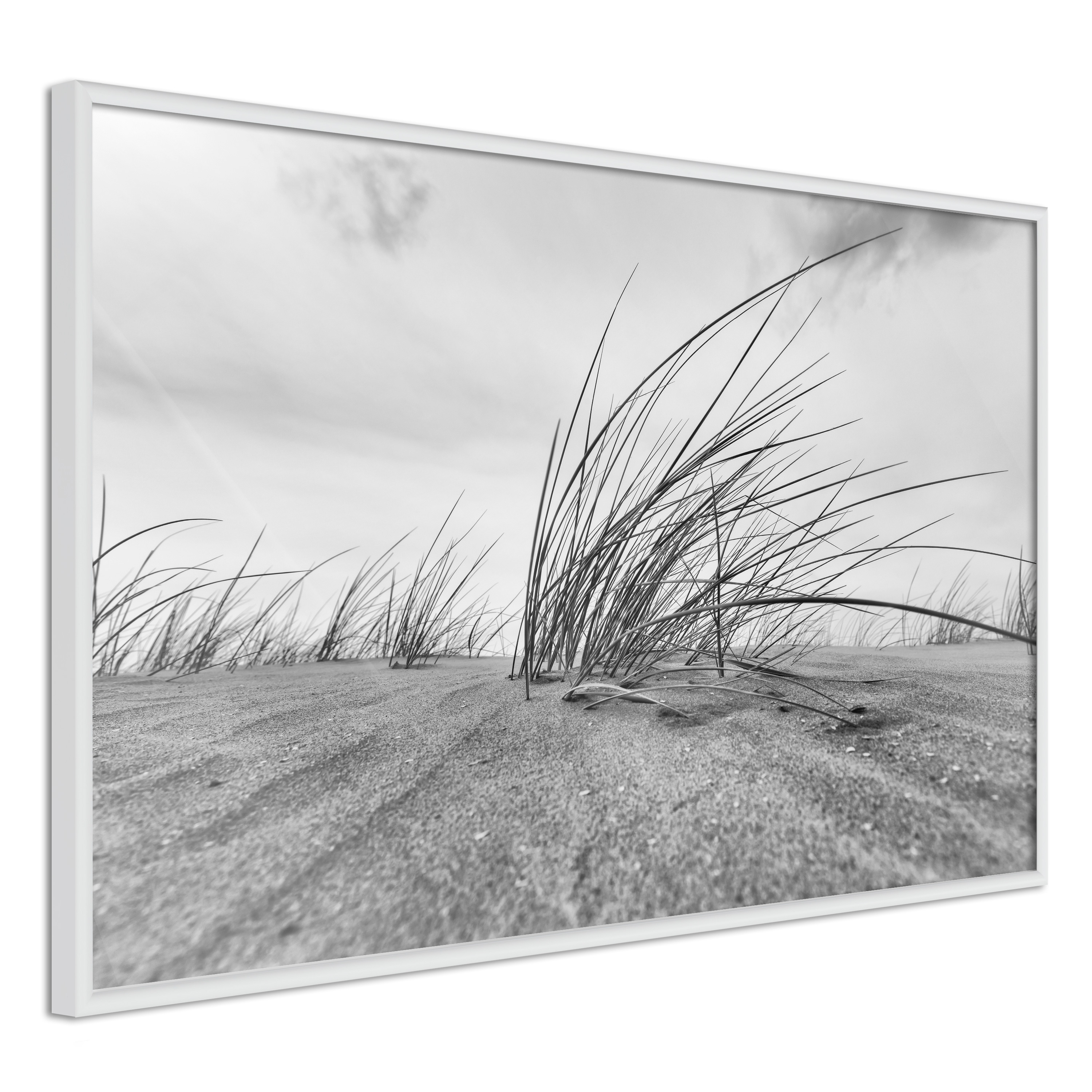 Poster Artgeist Affisch Seaside Reed