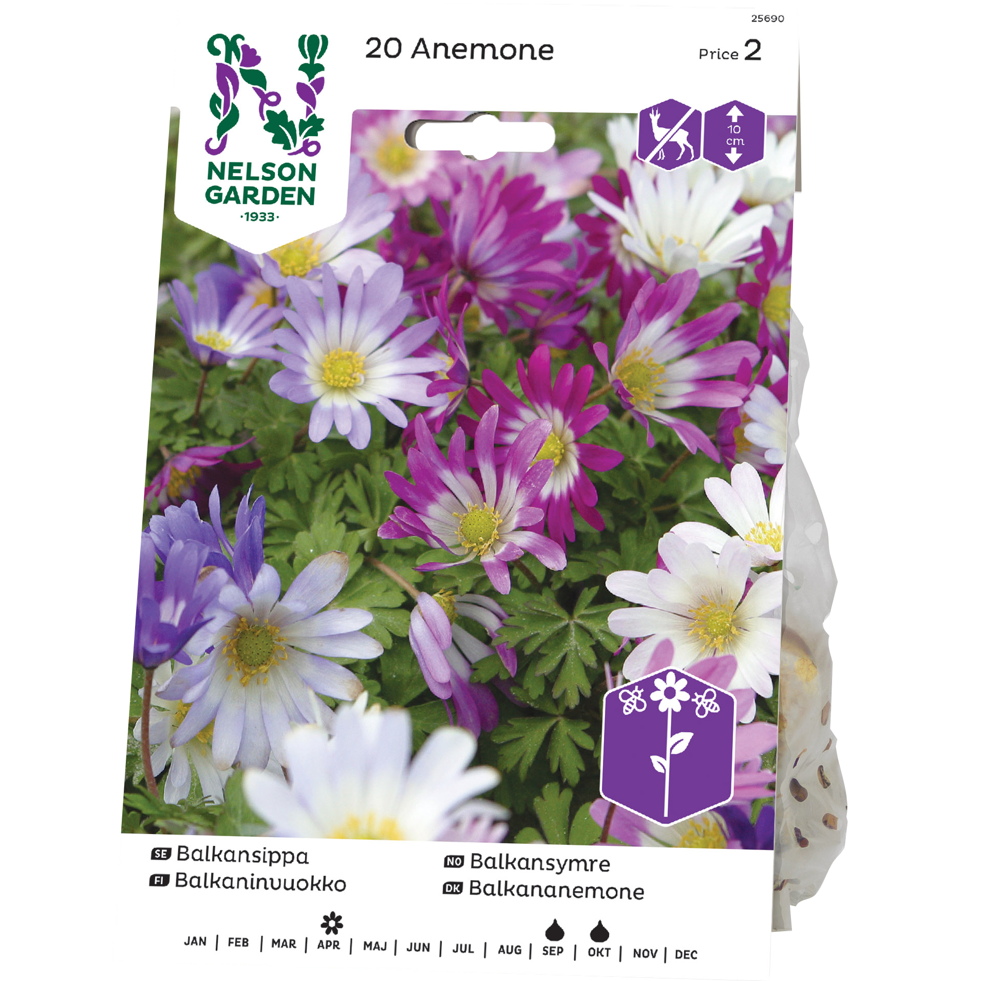 Balkansippa Nelson Garden Blandade Färger