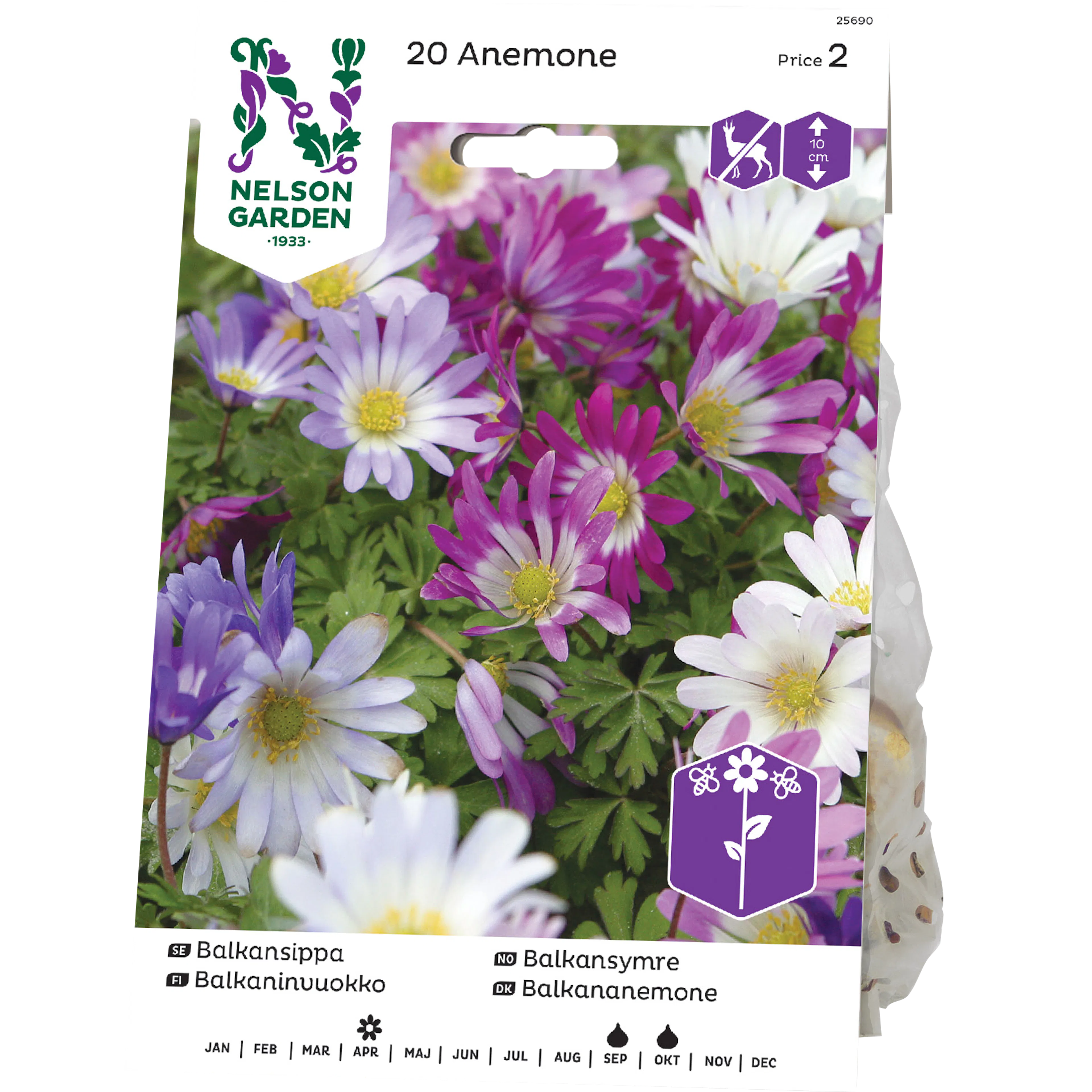 Balkansippa Nelson Garden Blandade Färger