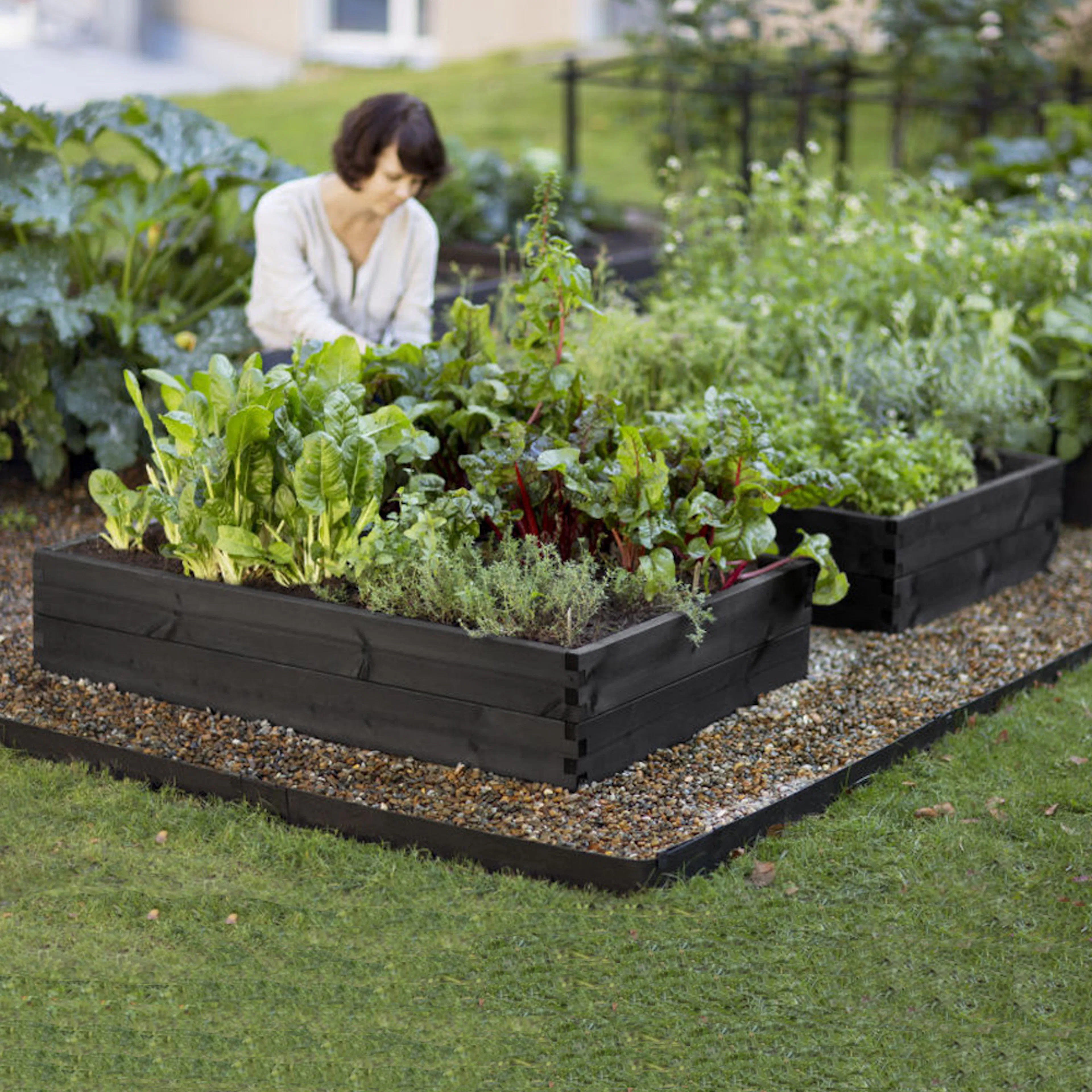 Plantering & förkultivering