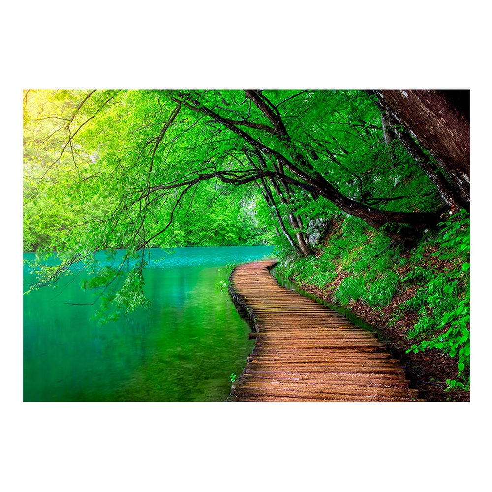 Fototapet Arkiio Självhäftande Green Peace