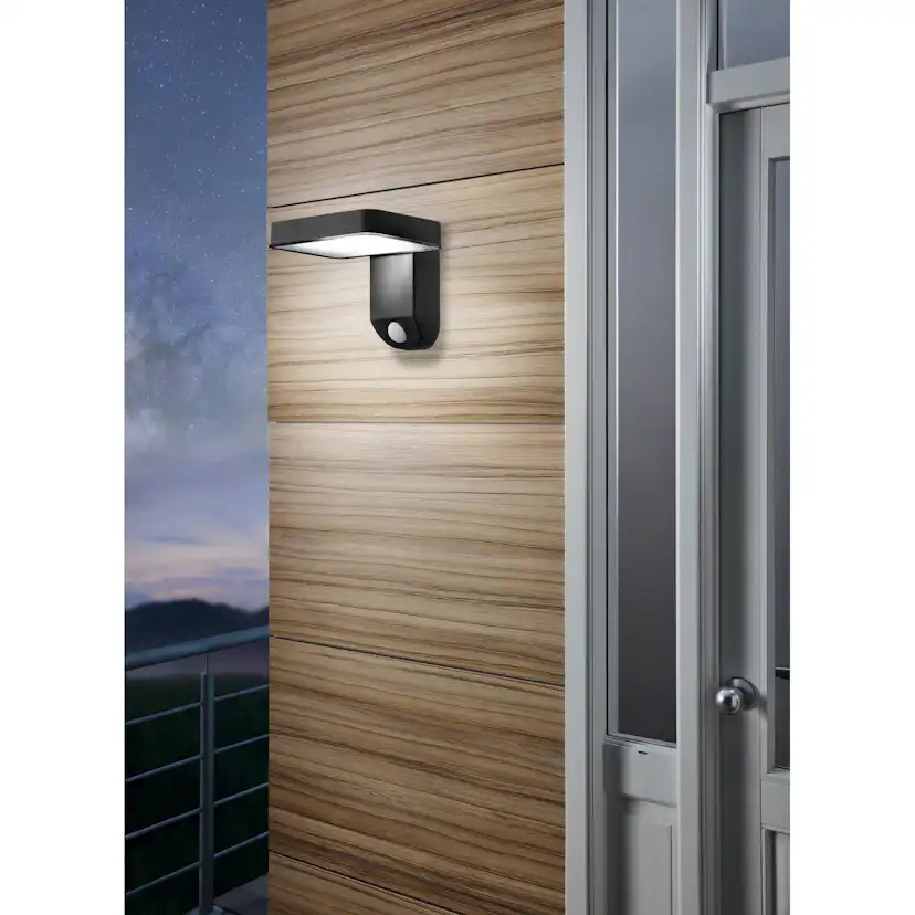Vägglampa Utebelysning Eglo Pation med Sensor