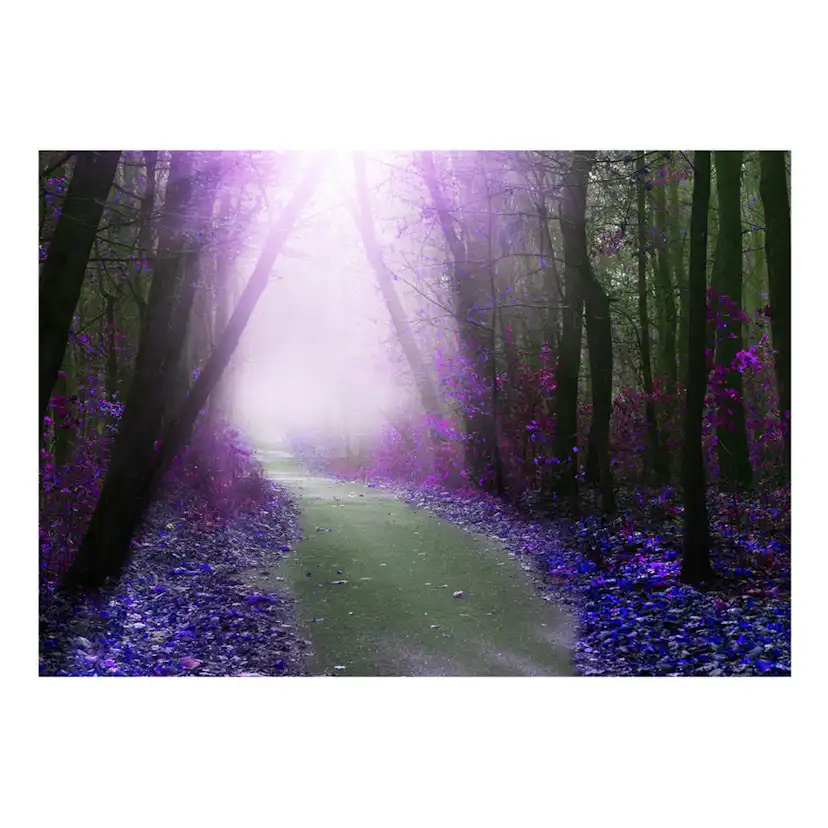 Fototapet Arkiio Självhäftande Purple Path