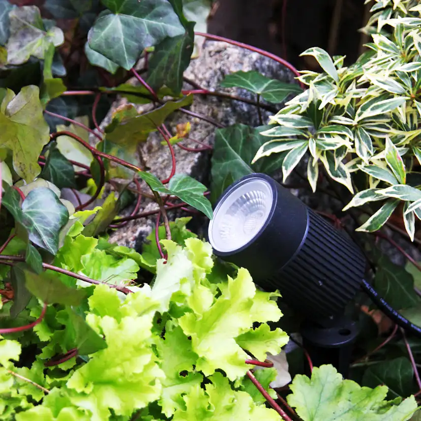 Markspot LightsOn Medusa, Svart
