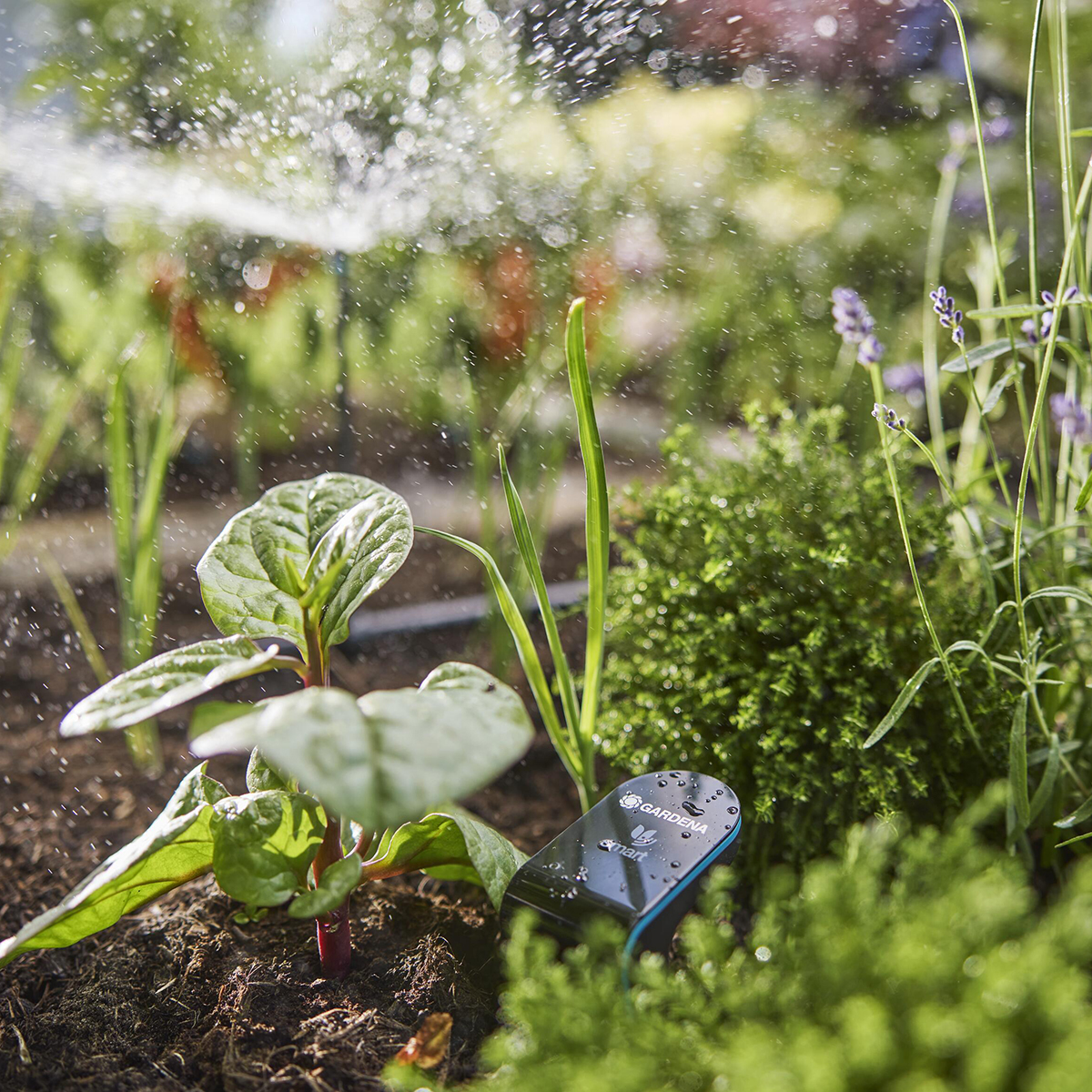 Robotgräsklippare Gardena Smart Sileno Sense 600 Bevattningspaket