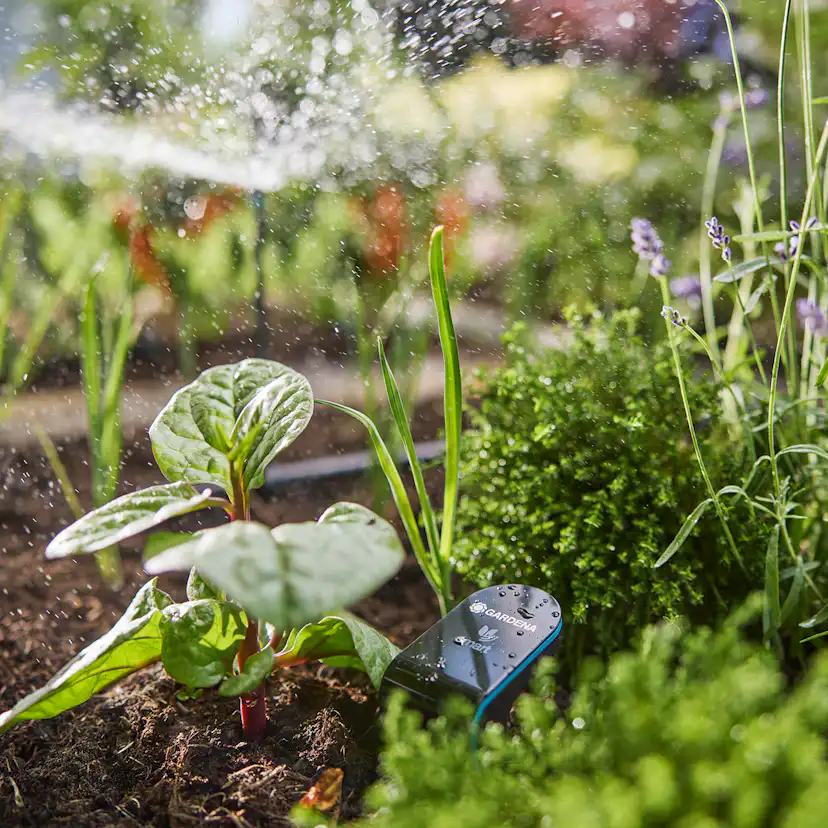 Robotgräsklippare Gardena Smart Sileno Sense 600 Bevattningspaket Utan Slinga