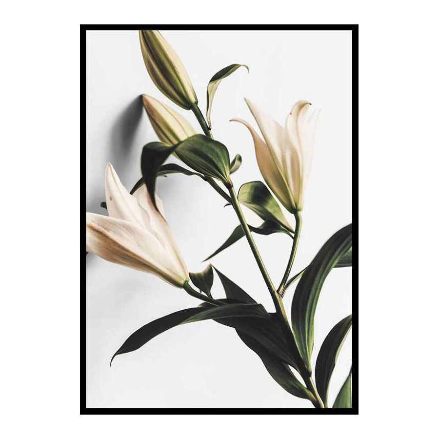Poster Gallerix Lilies
