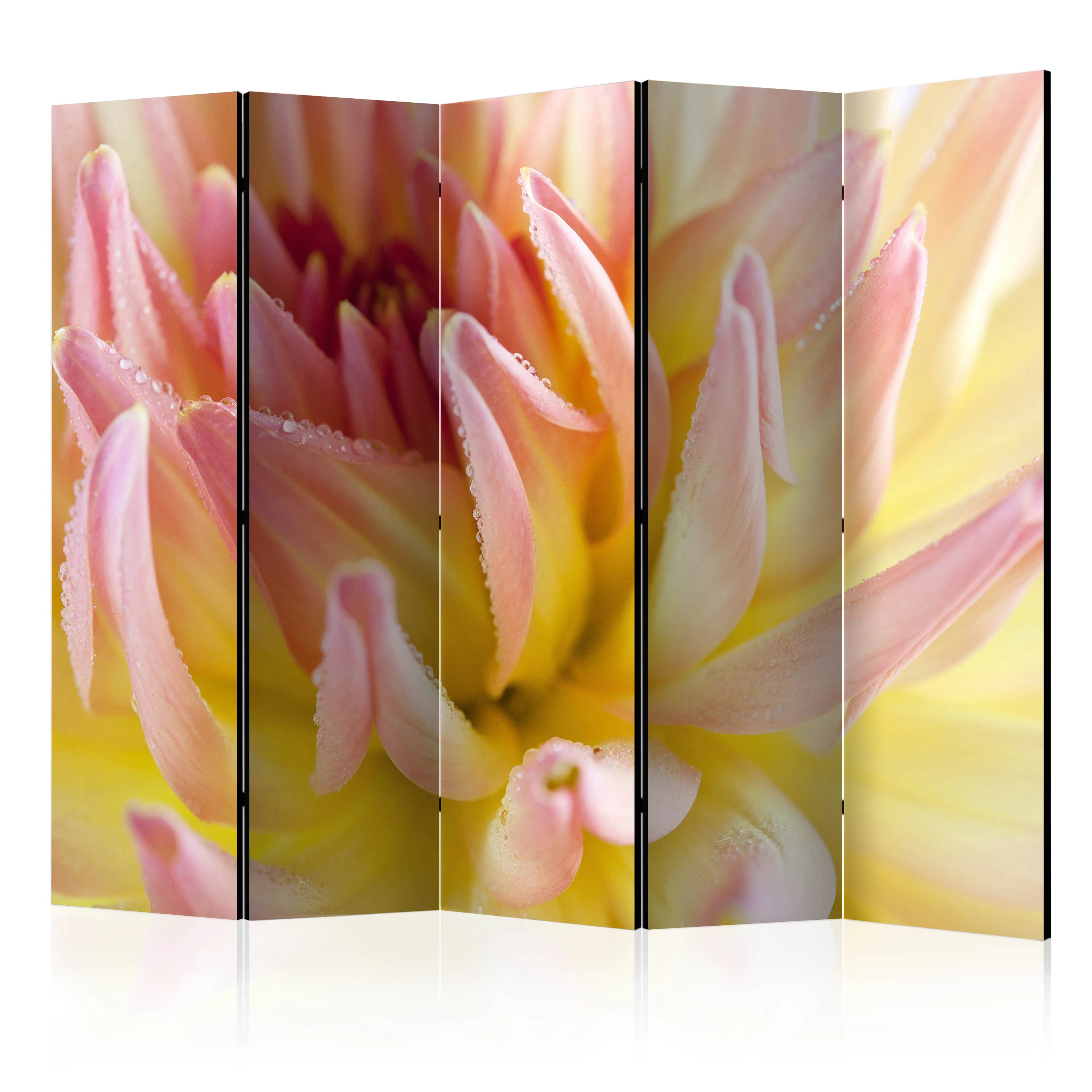 Rumsavdelare Skärmvägg Arkiio Pastel Colored Dahlia Flower With Dew Drops II 225x172 cm