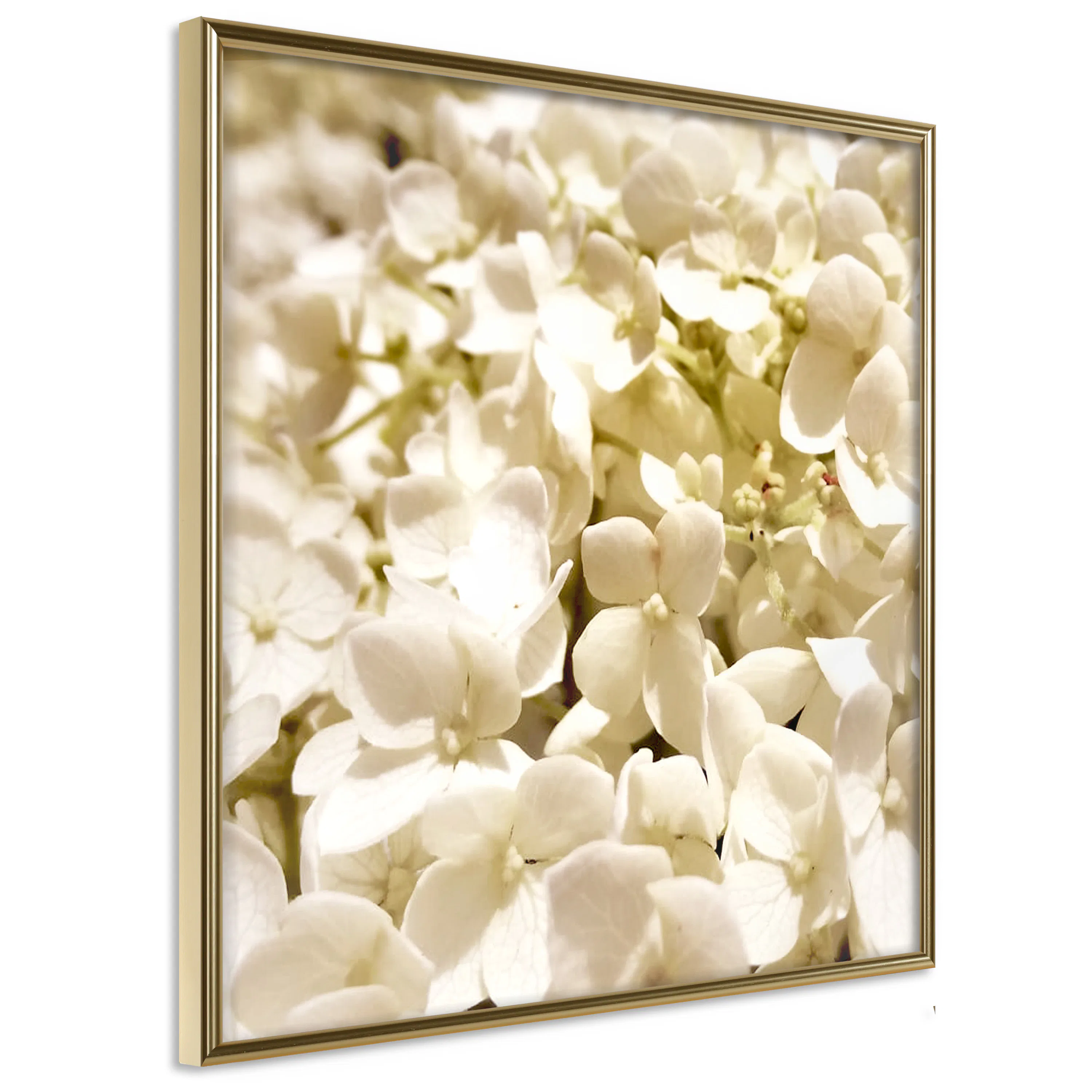 Poster Artgeist Affisch White Meadow