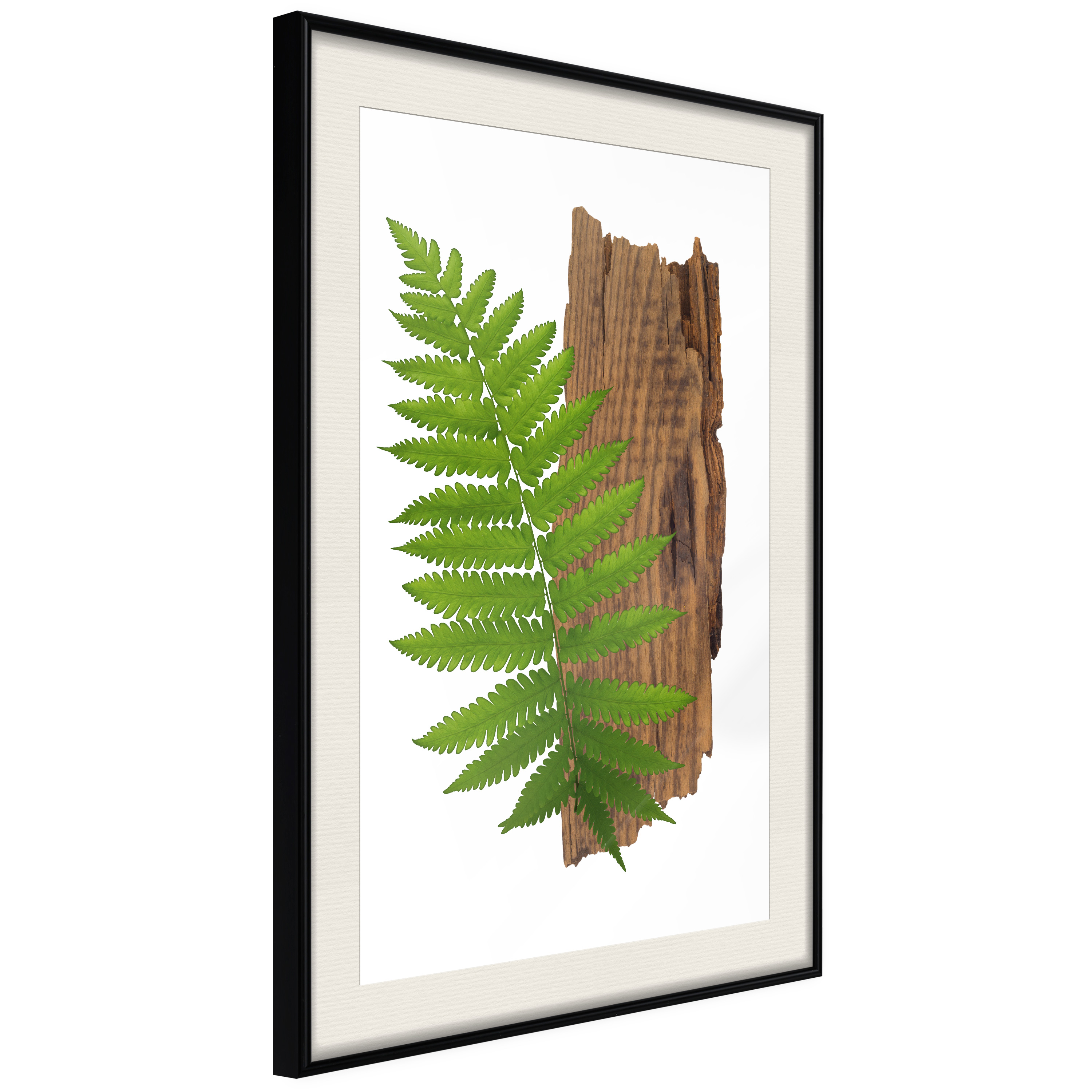 Affisch - Firmness of Nature [Poster] 40x60 Svart ram med passepartout, 40x60 cm