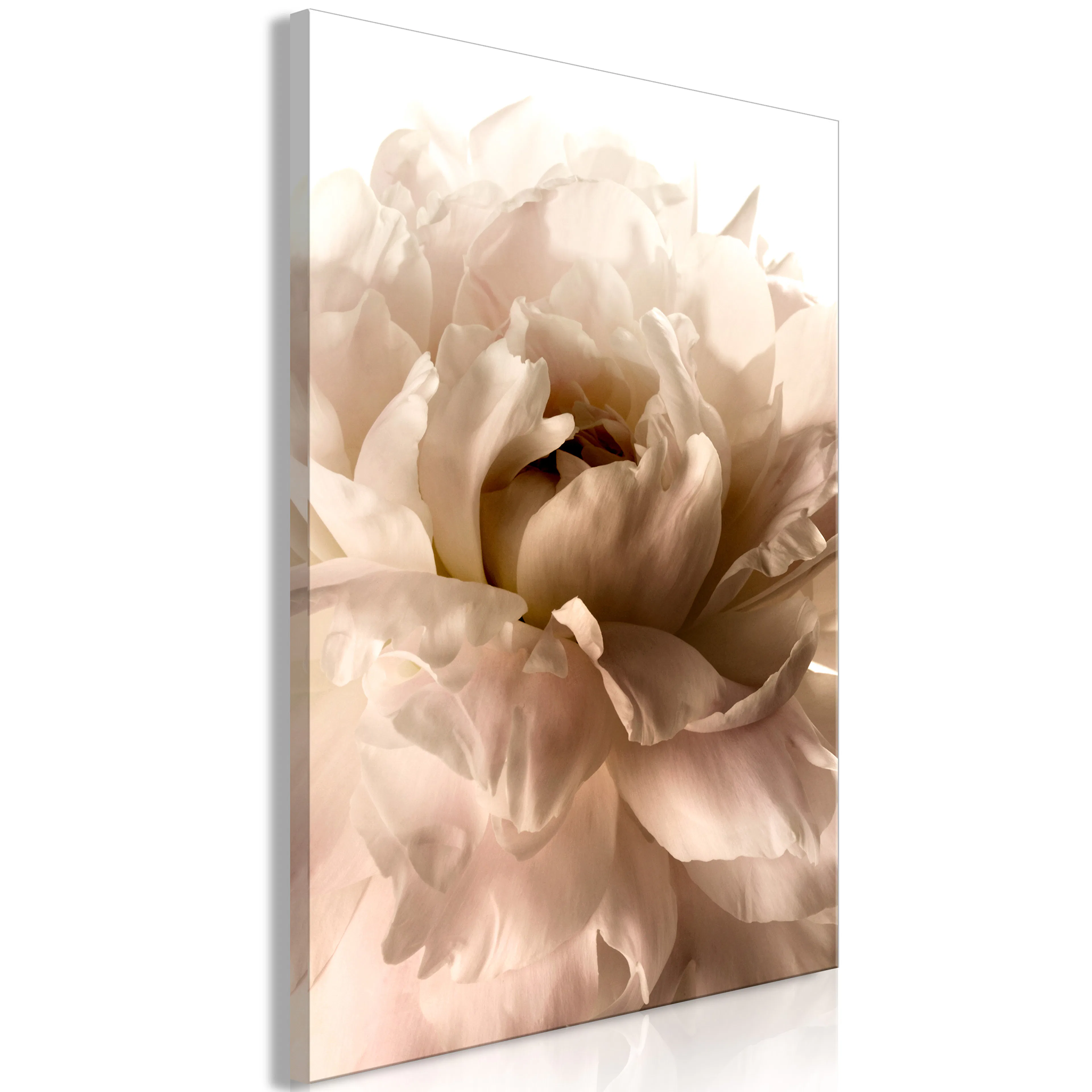 Tavla Arkiio Soft Petals