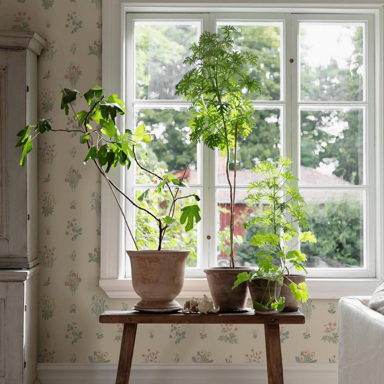 Tapet Boråstapeter Ängsflora 6951