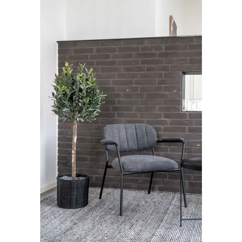 Konstväxt House Nordic Olive