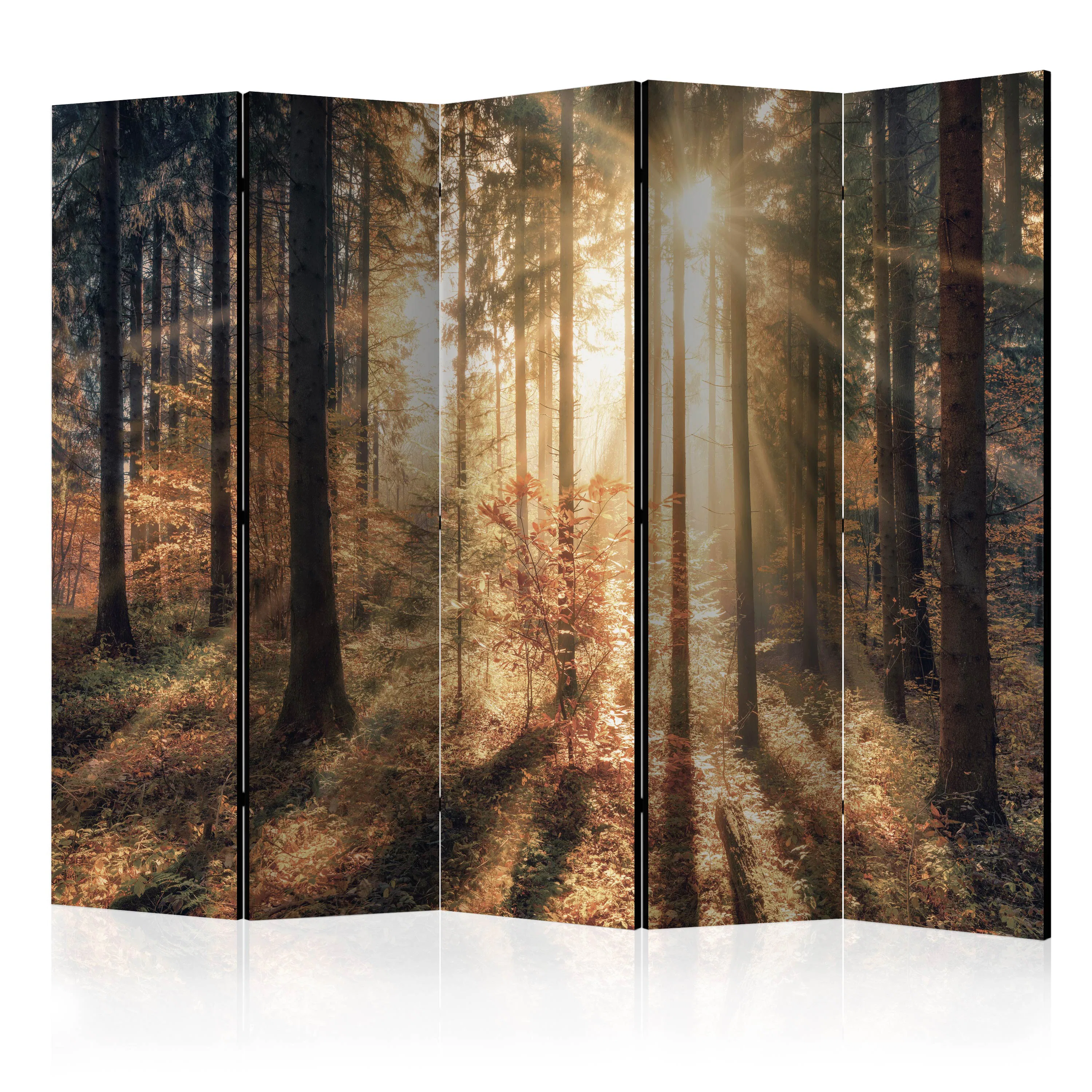 Rumsavdelare Skärmvägg Arkiio Autumnal Forest III 225x172 cm