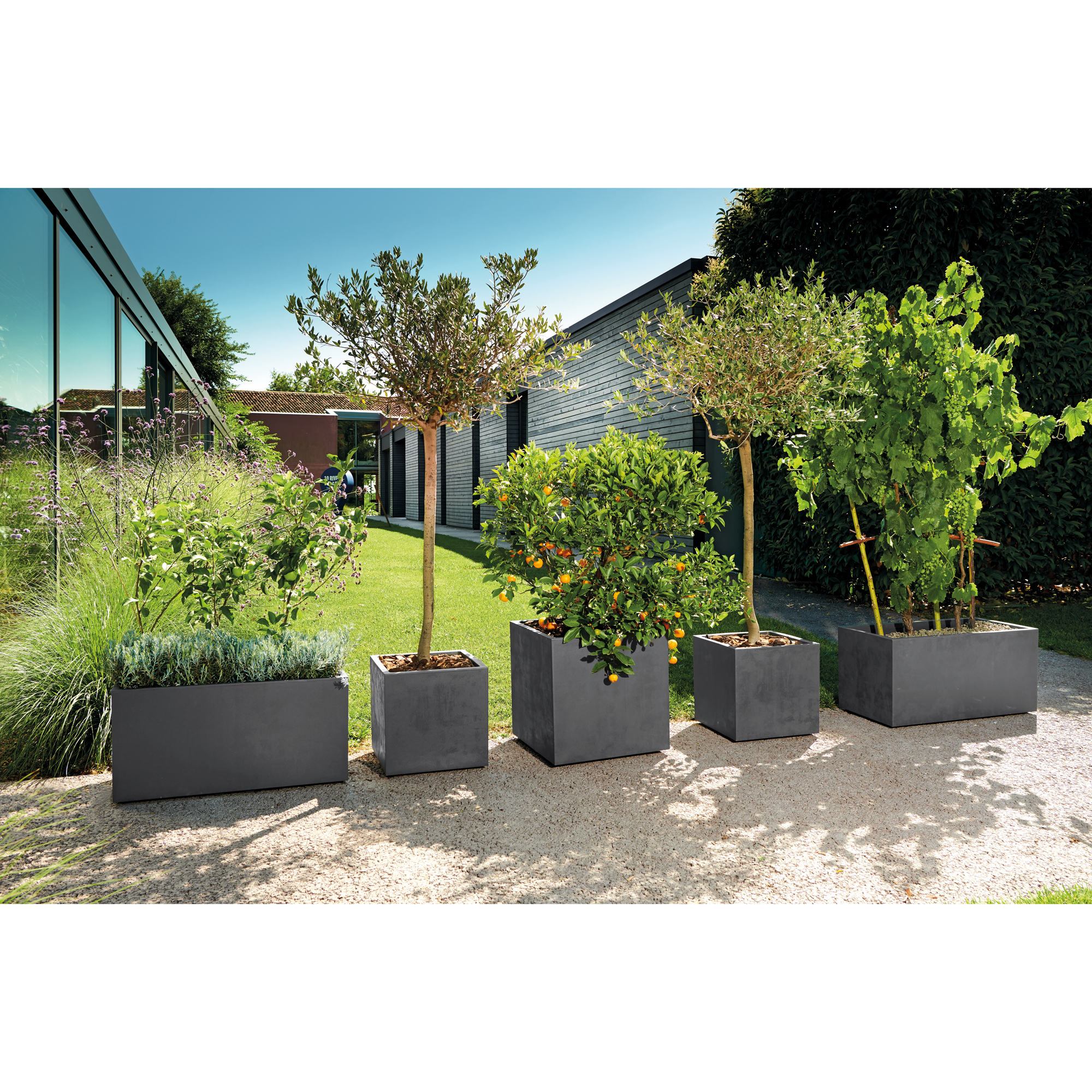 Kruka Deroma Millennium Antracit Fyrkantig 39 x 39 x 39 cm