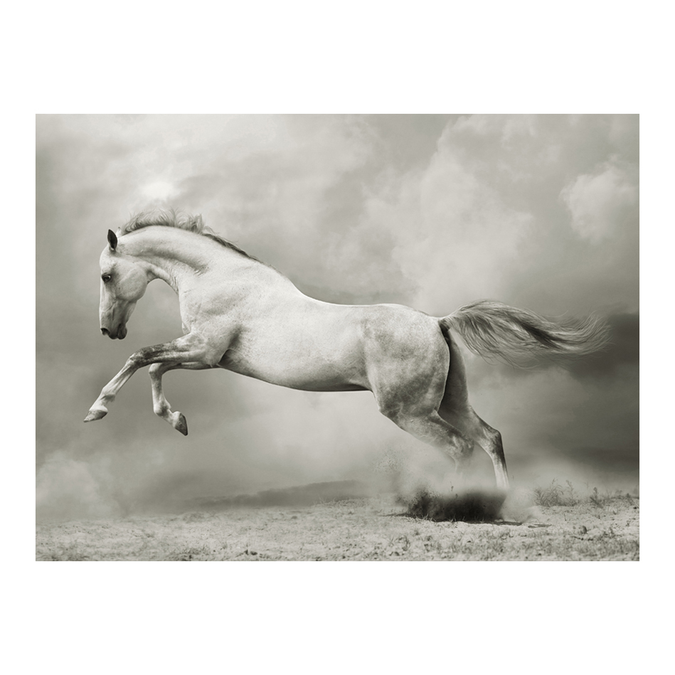 Wild hingst 200x154 Storlek: 200x154 cm