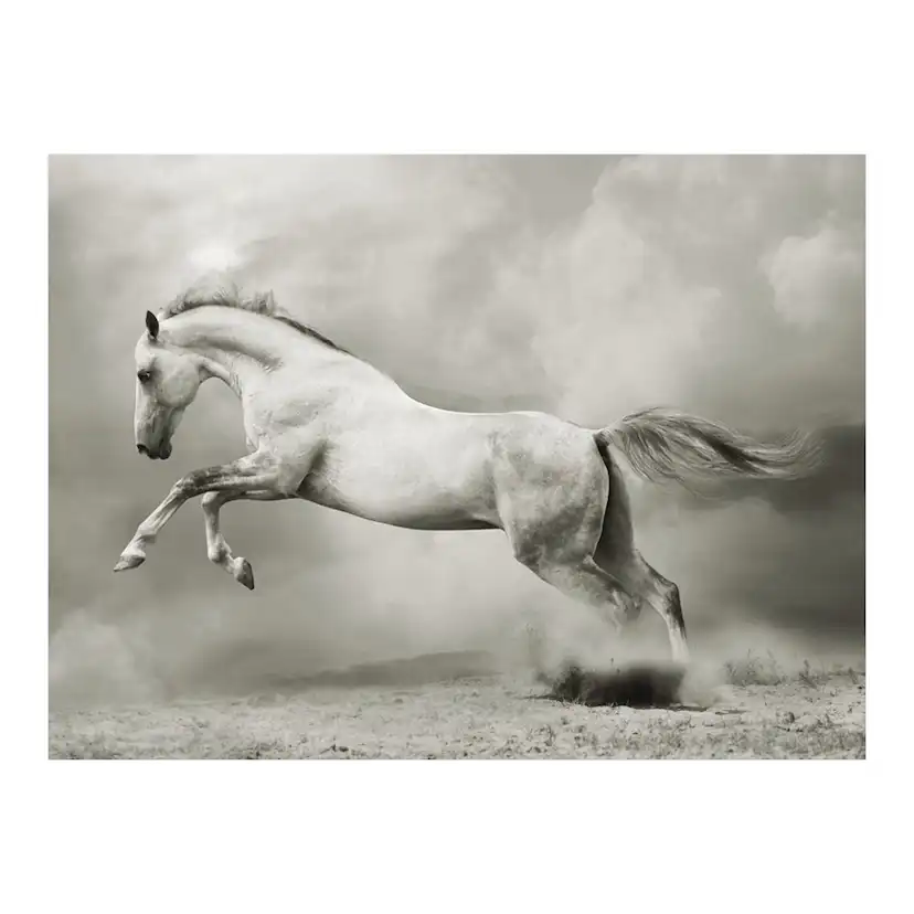 Wild hingst 200x154 Storlek: 200x154 cm