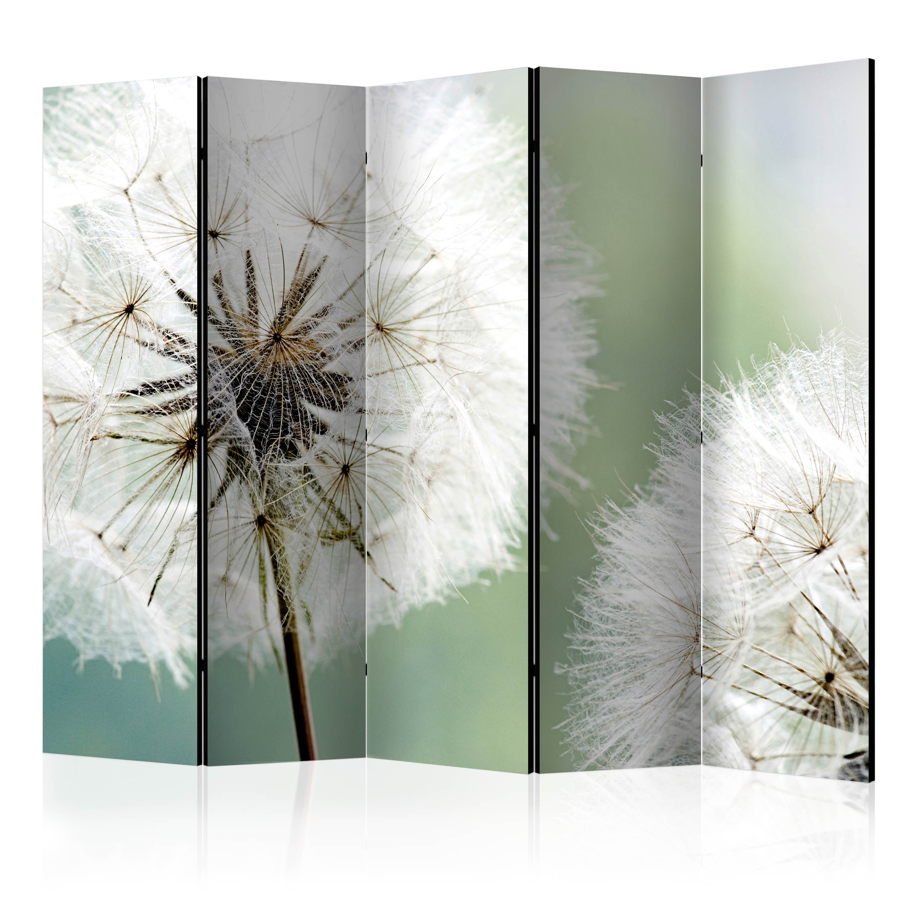 Rumsavdelare Skärmvägg Arkiio Two Dandelions II 225x172 cm