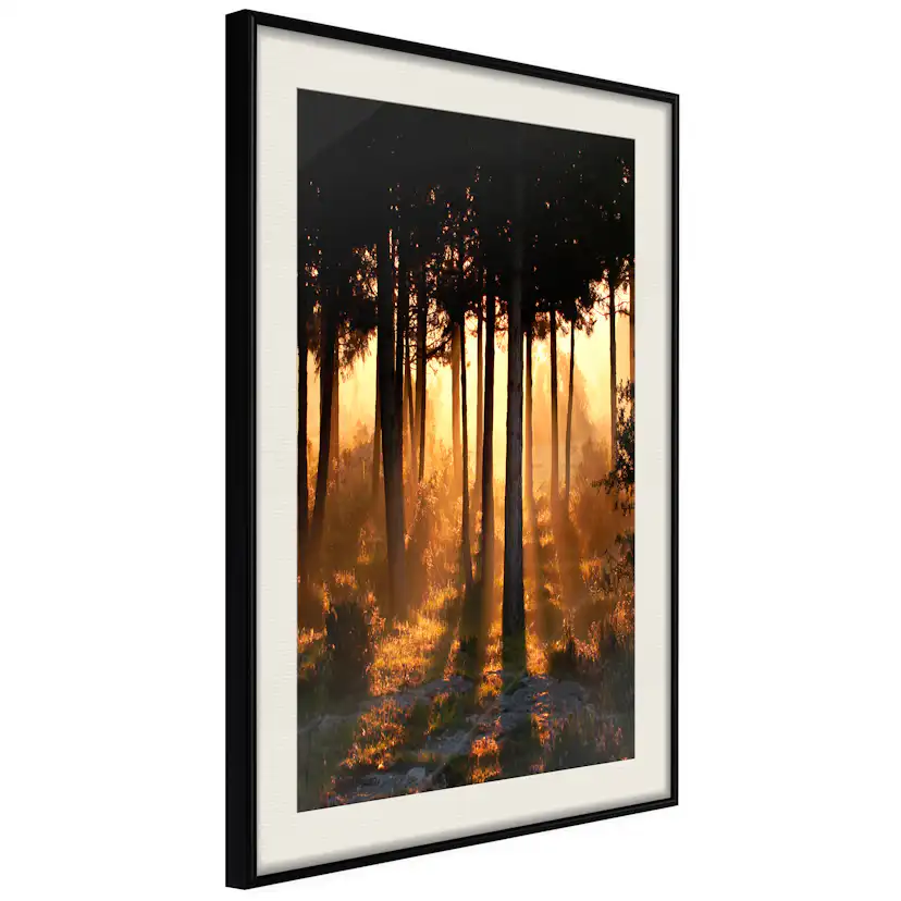Poster Artgeist Affisch Honey Forest