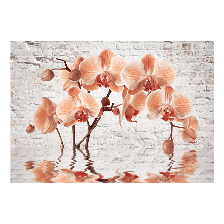 The Orange Arc 250x175 Storlek: 250x175 cm