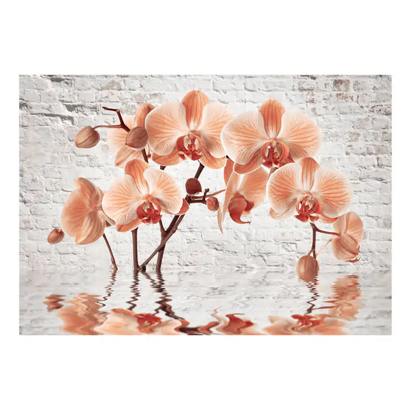 The Orange Arc 250x175 Storlek: 250x175 cm