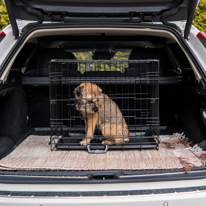 Hundbur Trekker Lättmetall L