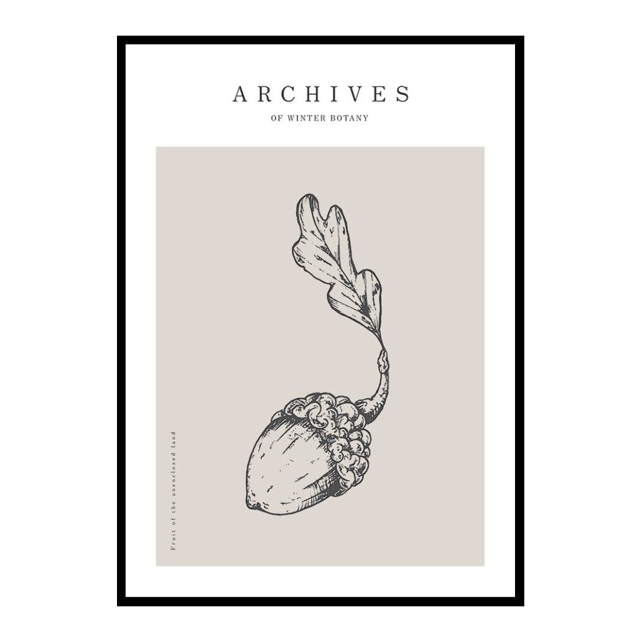 Poster Gallerix Winter Botany No1